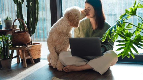 Pet insurance coverage illustration